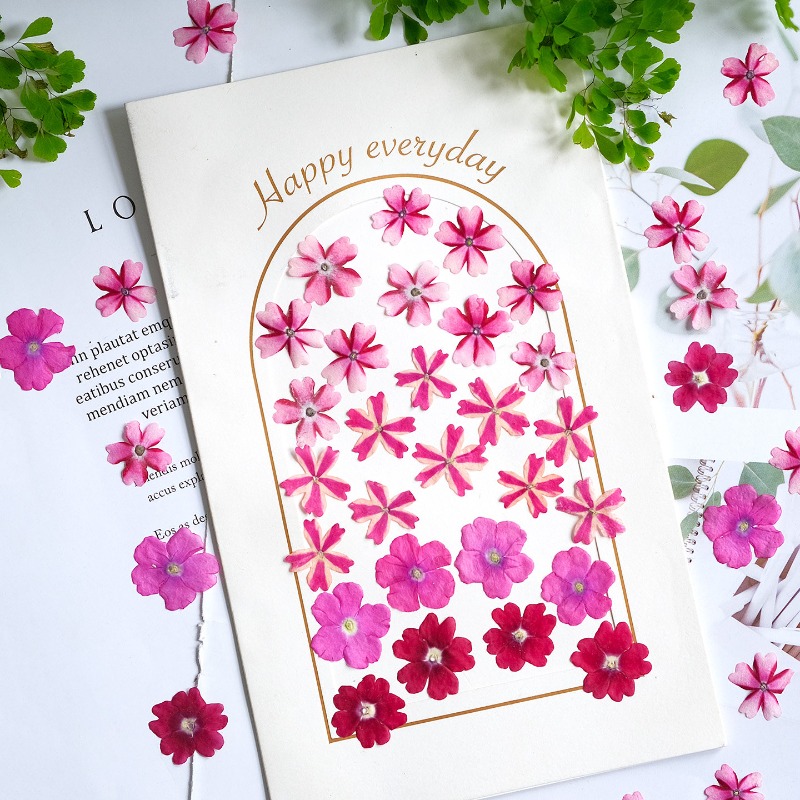 50pcs/1.5-2cm,Pressed Dried Ve - огляд і ціна Art Craft 2 Year Olds