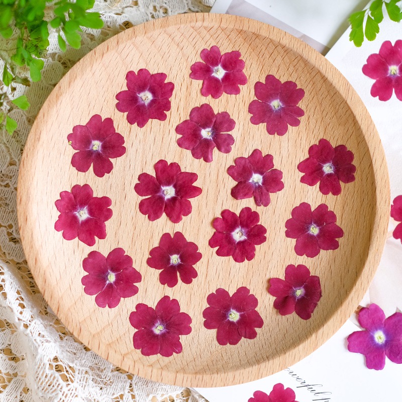 50pcs/1.5-2cm,Pressed Dried Ve - огляд і ціна Art Craft 2 Year Olds