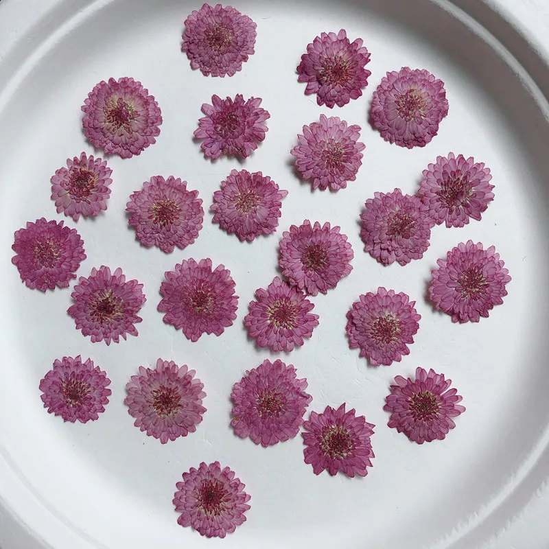 Nature Pressed Flowers Real Dr - огляд і ціна Art Craft 2 Year Olds