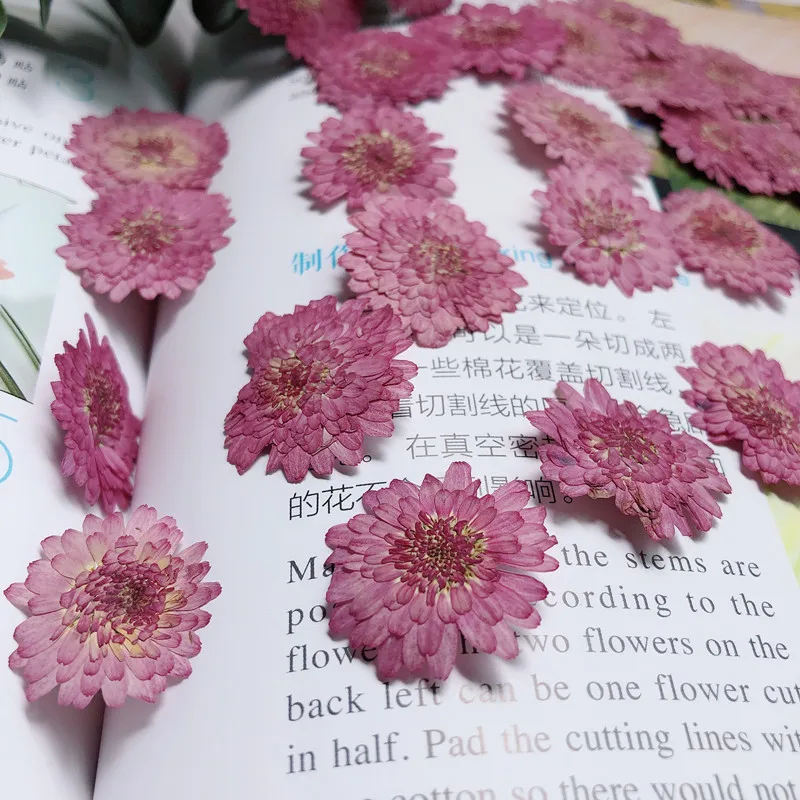 Nature Pressed Flowers Real Dr - огляд і ціна Art Craft 2 Year Olds