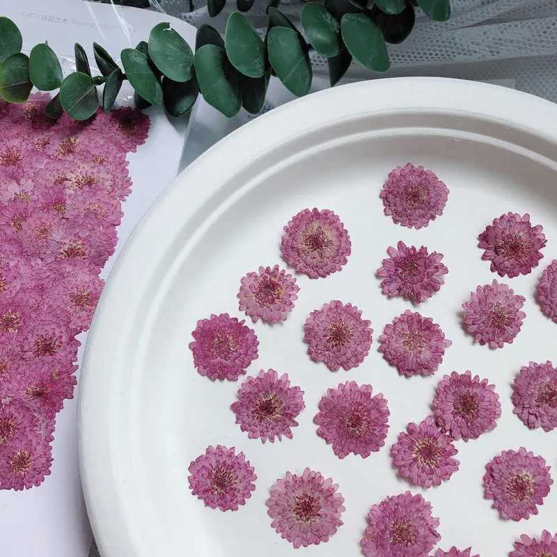 Nature Pressed Flowers Real Dr - огляд і ціна Art Craft 2 Year Olds